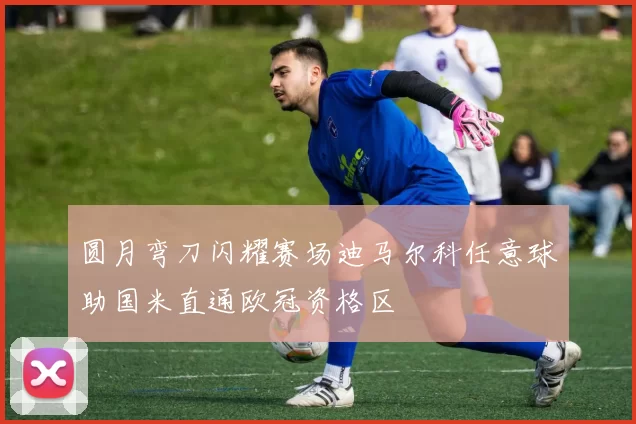 圆月弯刀闪耀赛场迪马尔科任意球助国米直通欧冠资格区